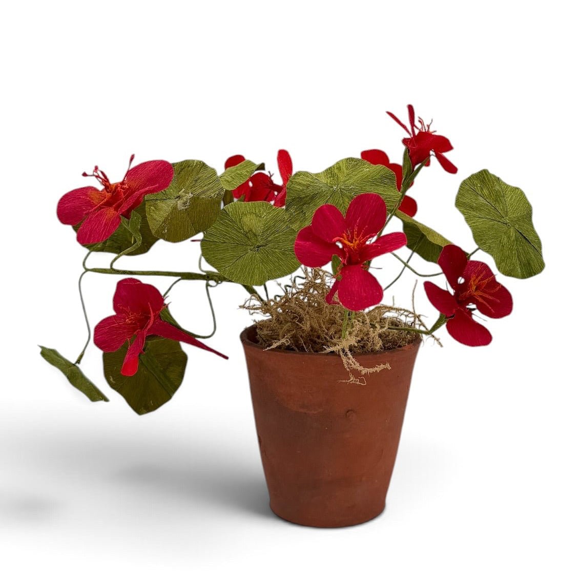 Handmade nasturtium paper flowers in a vintage terracotta pot - Florrie
