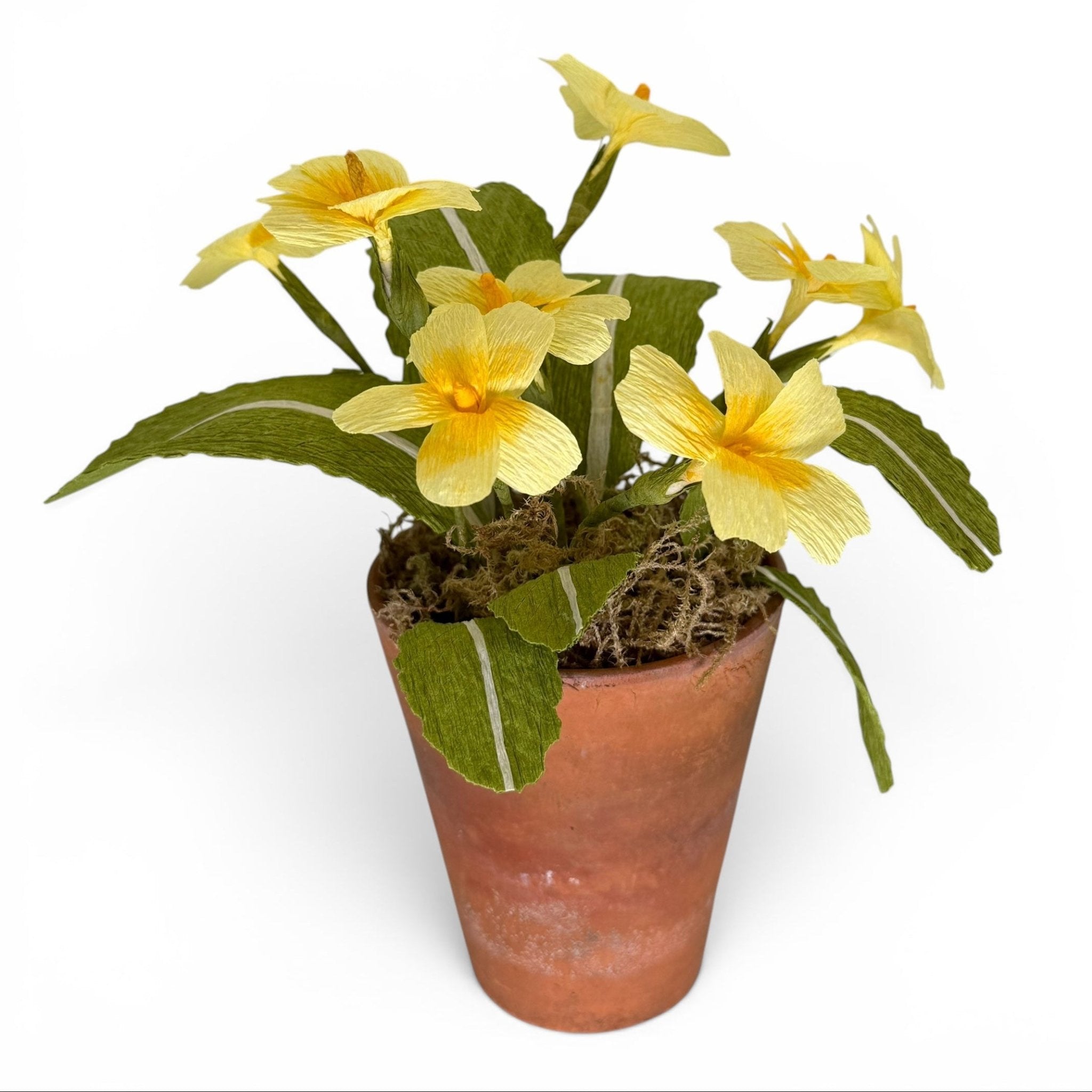 Handmade primrose paper flowers in a vintage terracotta pot - Florrie