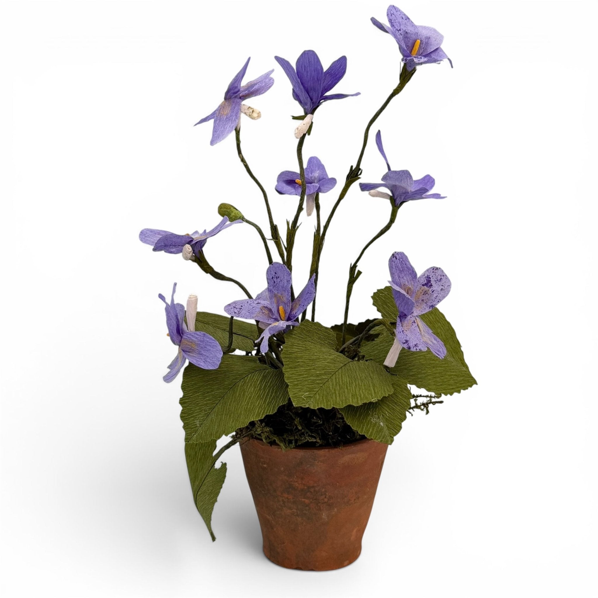Handmade viola paper flowers in a vintage terracotta pot - Florrie