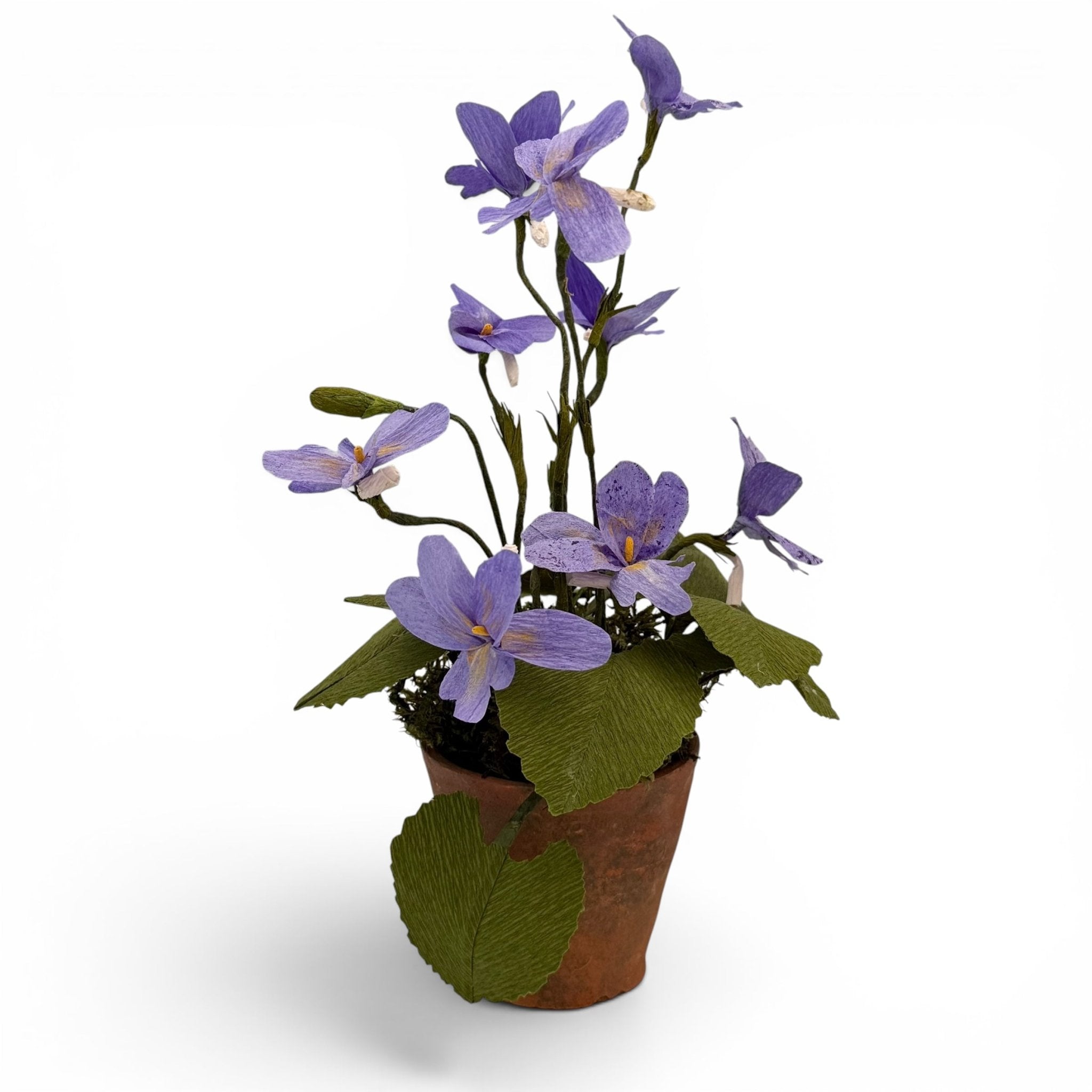 Handmade viola paper flowers in a vintage terracotta pot - Florrie