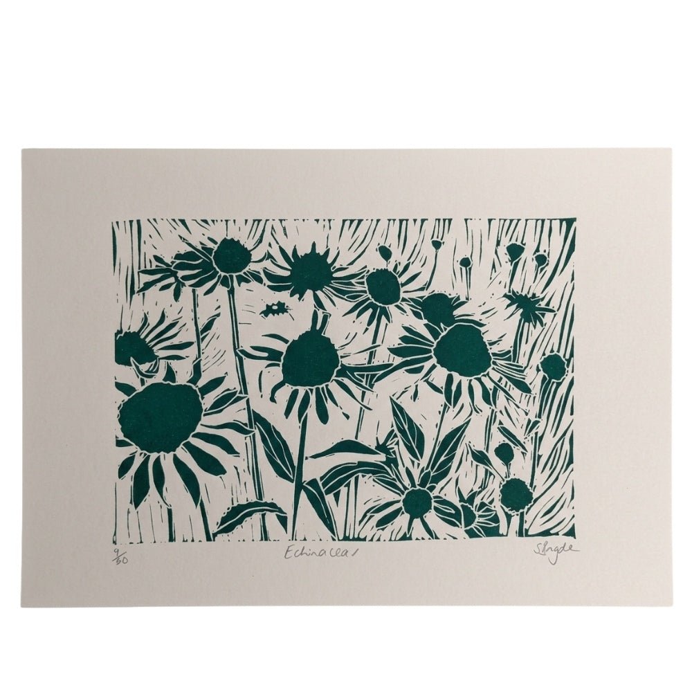 Echinacea - teal linocut print - A4 120gsm Fabriano paper - Florrie