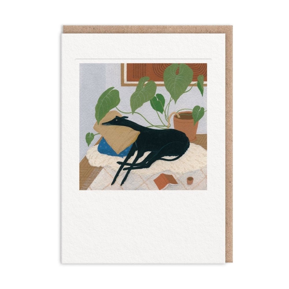 Greyhound dog blank card - Florrie