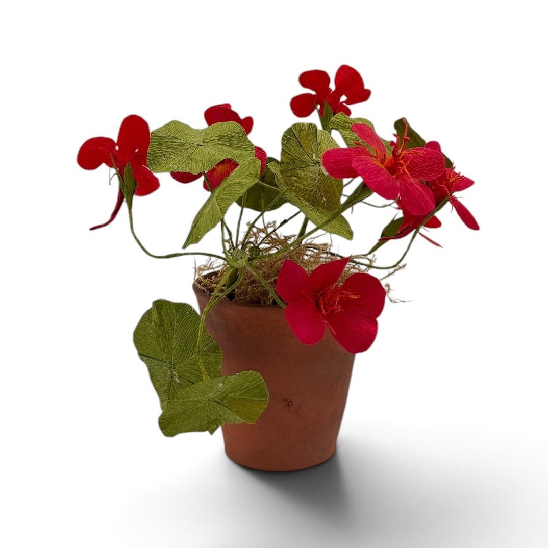 Handmade nasturtium paper flowers in a vintage terracotta pot - Florrie