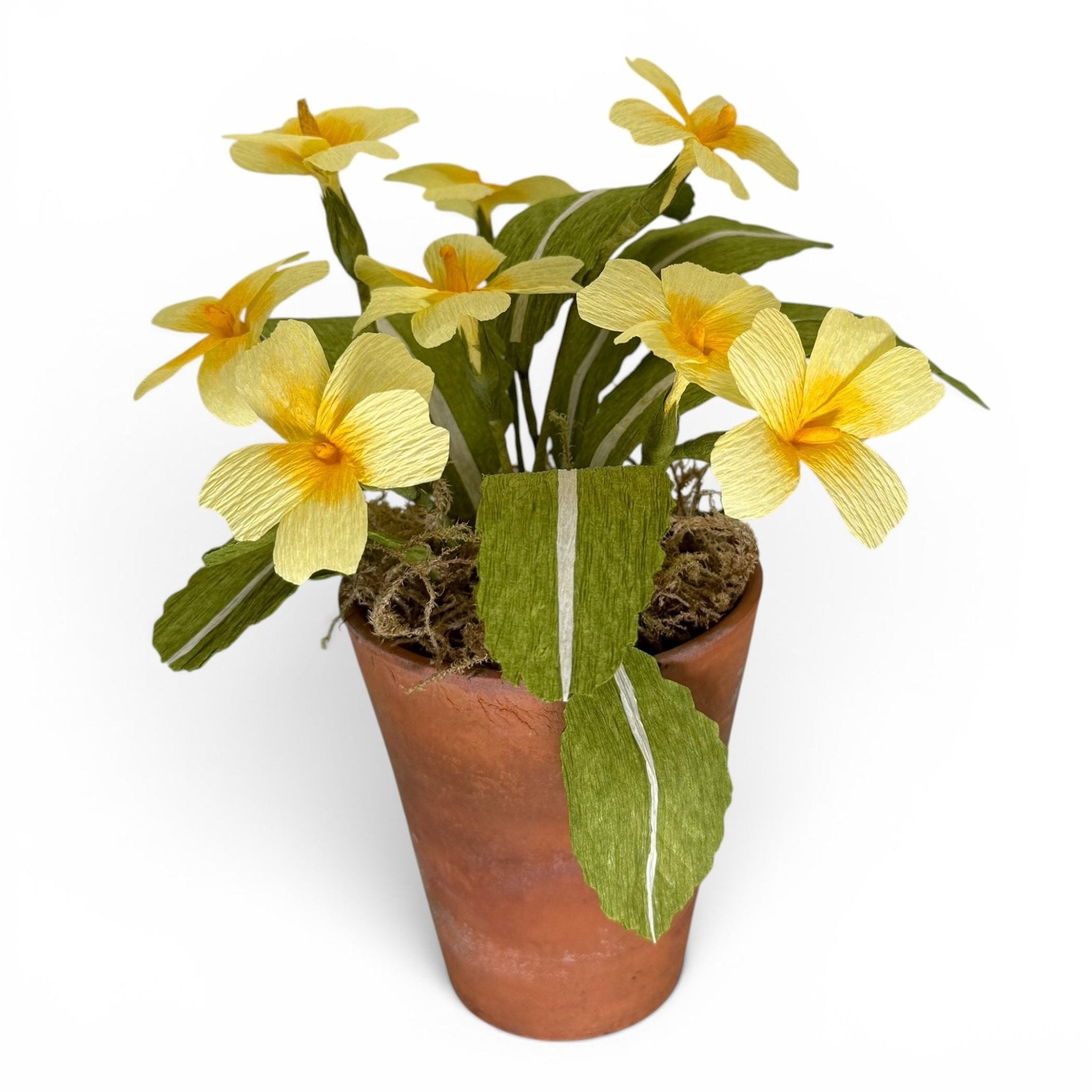 Handmade primrose paper flowers in a vintage terracotta pot - Florrie