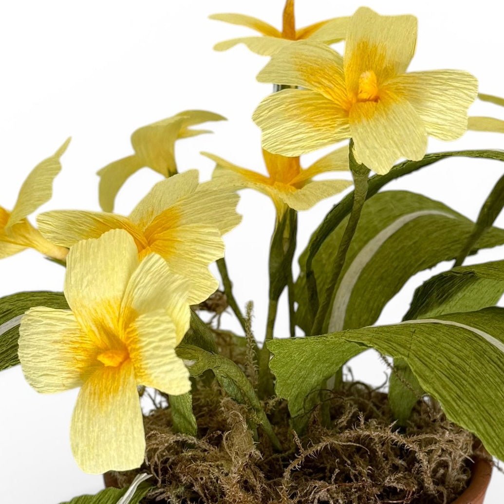 Handmade primrose paper flowers in a vintage terracotta pot - Florrie