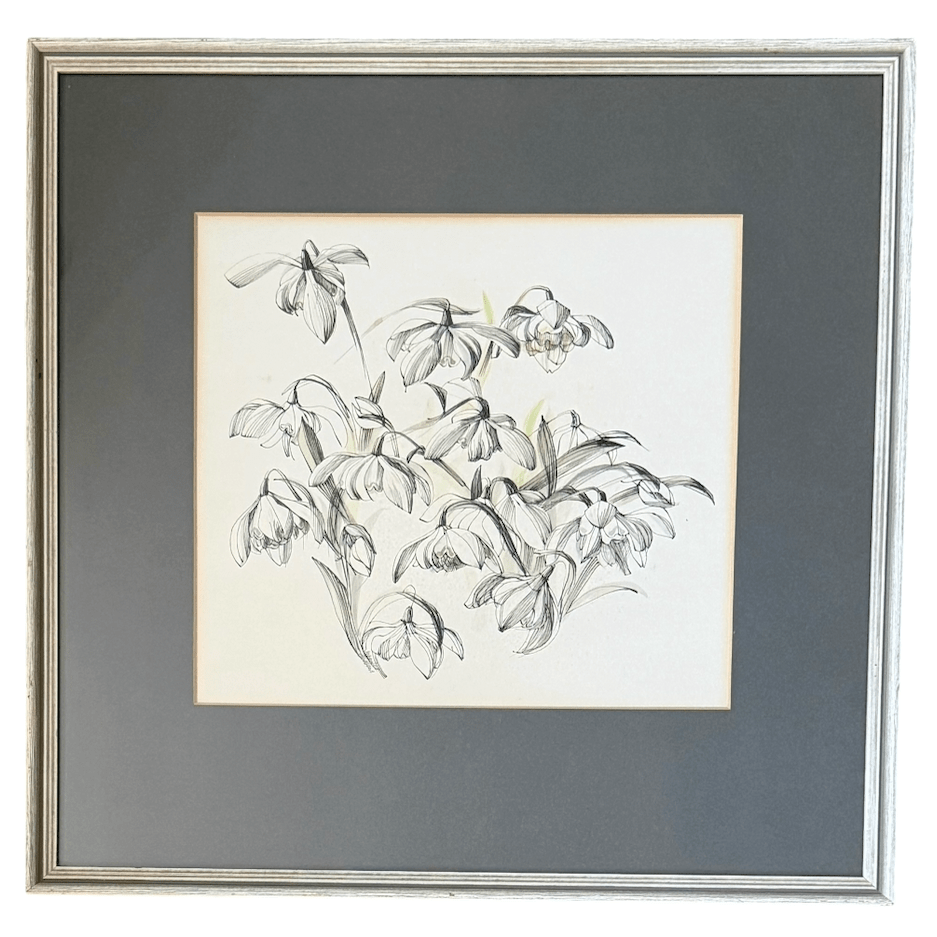 Original pen and watercolour drawing of snowdrops - Florrie