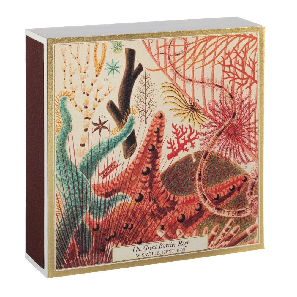 Square box of Great Barrier Reef matches - Florrie