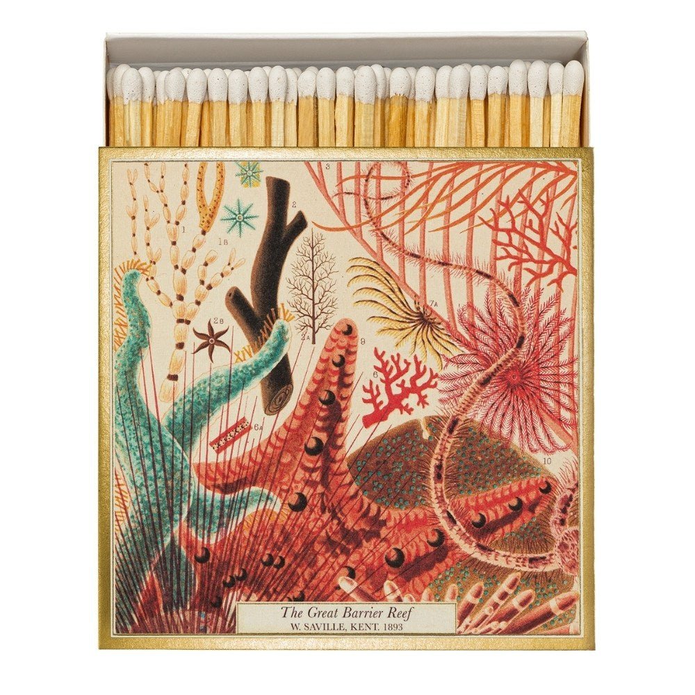 Square box of Great Barrier Reef matches - Florrie