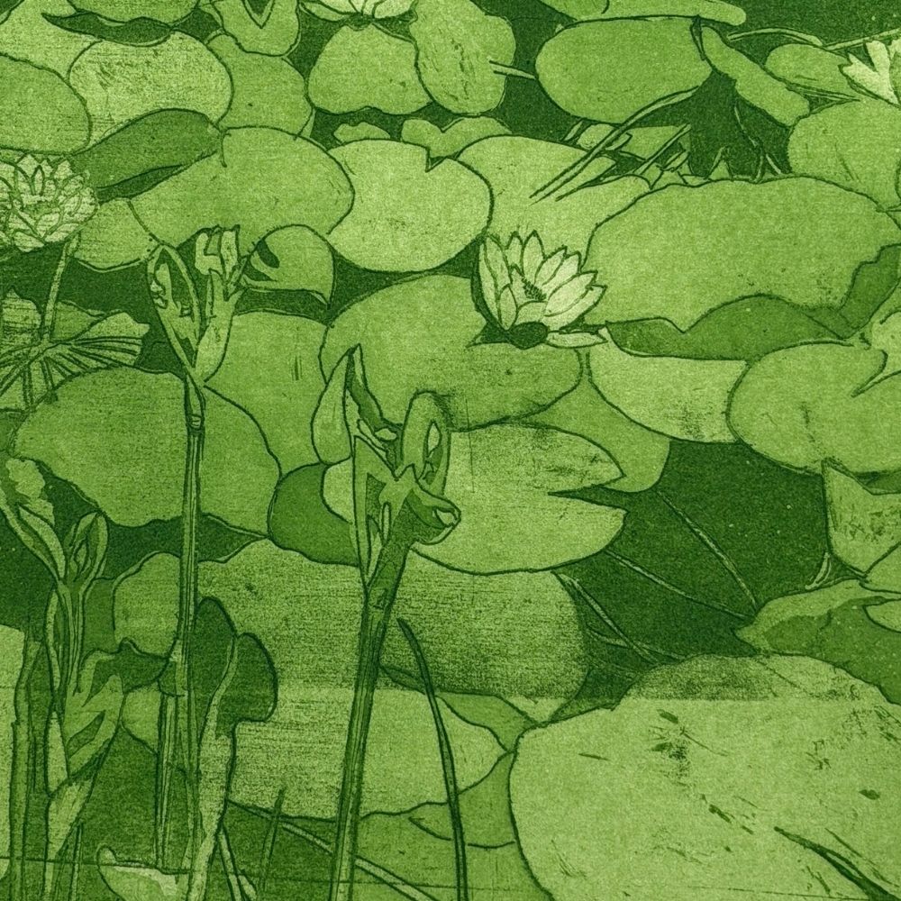 Waterlilies green etching - A3 JPP Southbank paper - Florrie
